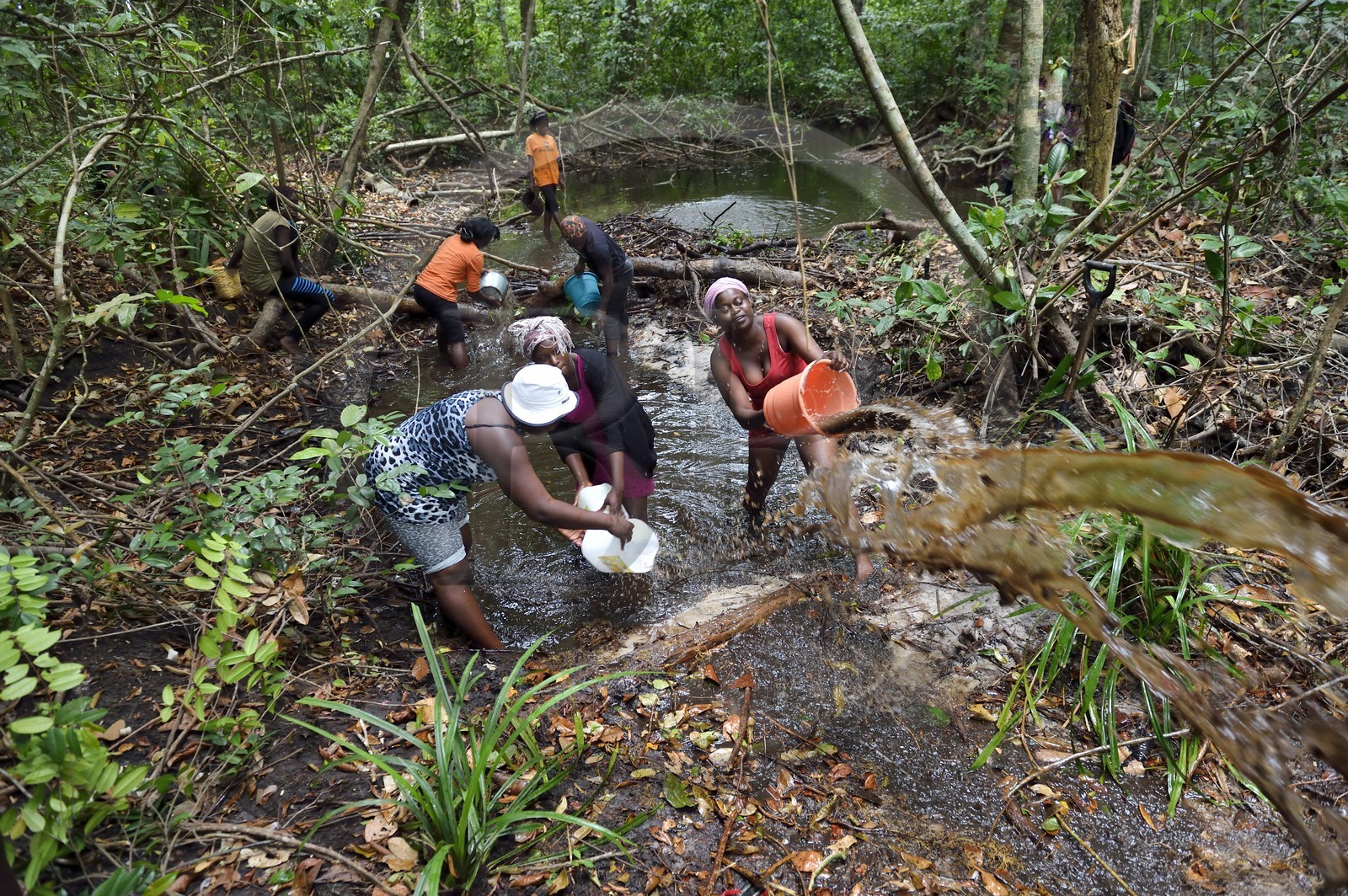 Gabon, province de Ogooué- Maritime, Omboué, région du Loango, pêche traditionnelle en rivière qui consiste à créer un barrage et à vider l'eau pour récupérer les poissons