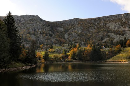 France, Haut Rhin, below the scenic road of la route des Cretes, Lake trout or lake Forlet, located in a former glacial circus in the massif of Tanet (Vosges)