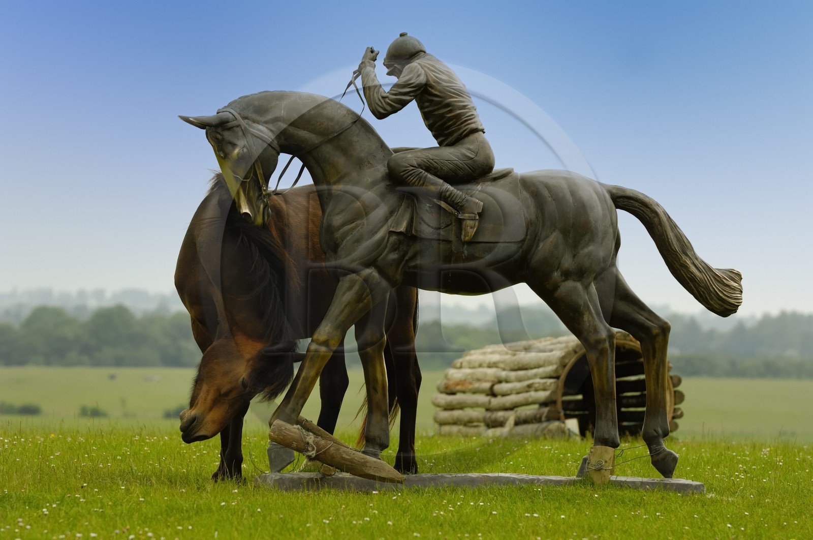 Irlande, Galway, une statue équestre et un cheval