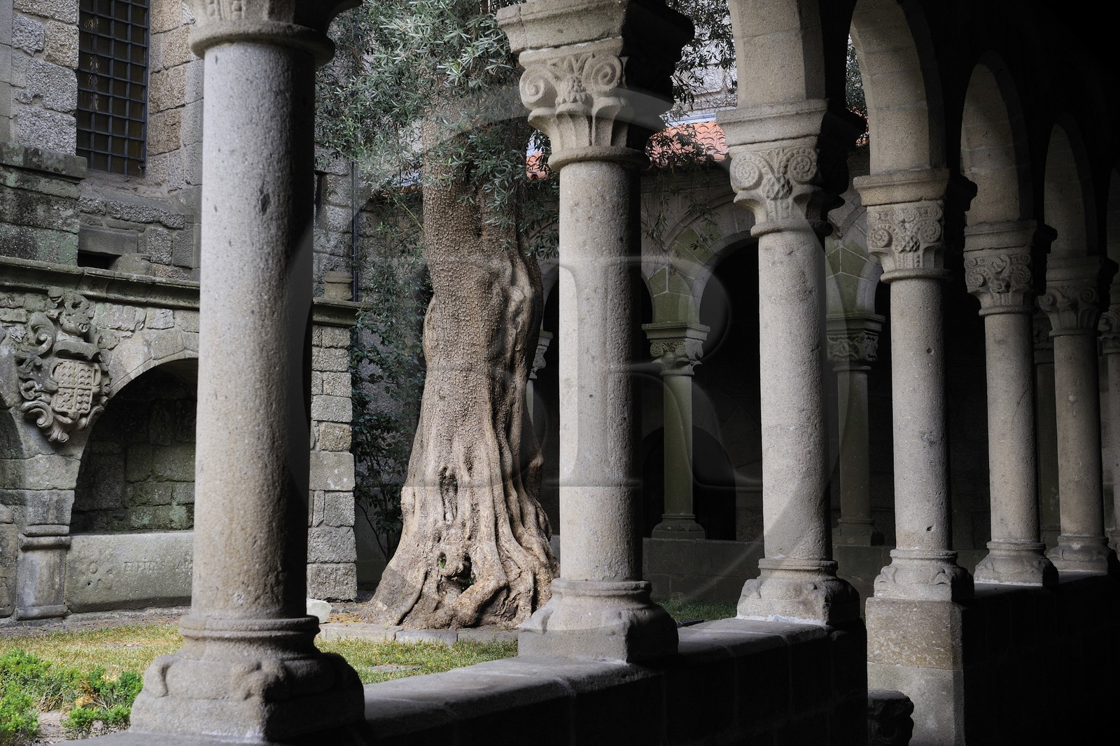 Portugal, région du Minho, Guimaraes, ville classée Patrimoine Mondial de l' UNESCO, musee Alberto Sampaio dans l'ancien couvent de Nossa Senhora Da Oliveira, le cloitre roman