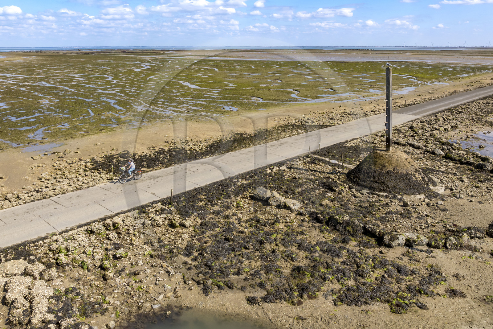 France, Vendée (85), île de Noirmoutier, Barbatre, cyclistes sur le passage du Gois, chaussée submersible qui relie l'île au continent à marrée basse, un des refuges sur la droite (vue aérienne)