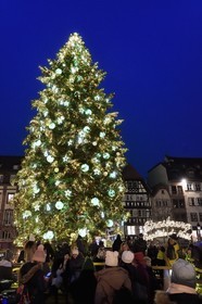 France, Bas-Rhin (67), Strasbourg, vieille ville classée au Patrimoine Mondial de l’UNESCO, le Grand Sapin de Noël de la place Kléber