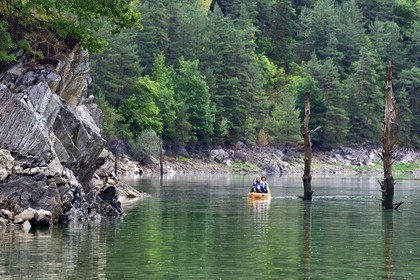 France, Cantal (15), Gorges de la Truyère, Chaliers, découverte en kayak à pédales de la rivière Truyère en amont du viaduc de Garabit et troncs d'arbres morts vestiges de la foret noyée