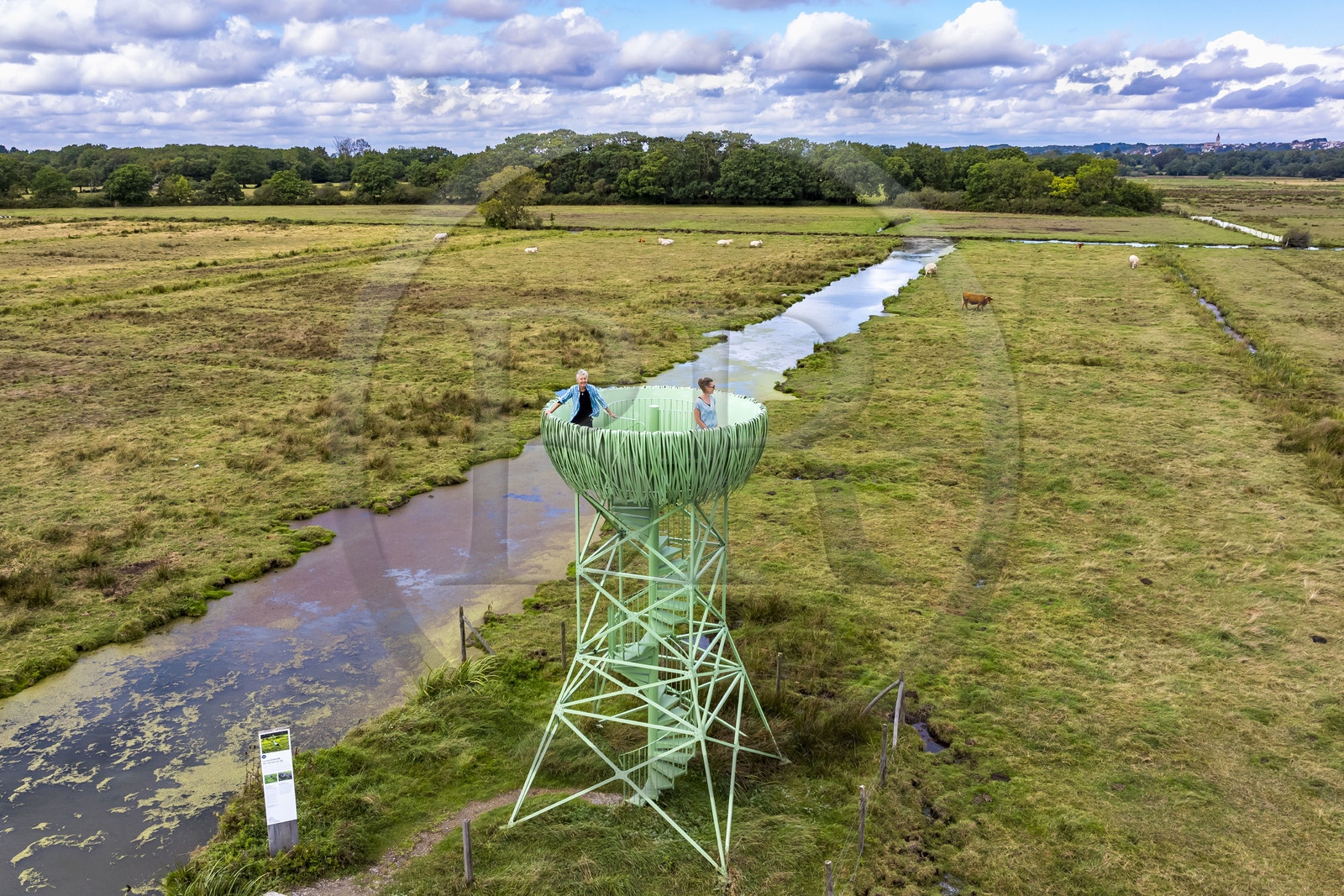 France, Loire-Atlantique (44), Lavau-sur-Loire, le Nid-Observatoire du Marais du Syl est l'un des trois belvédères aux allures de nid de cigognes grand format qui se trouvent sur le territoire d'Estuaire et Sillon