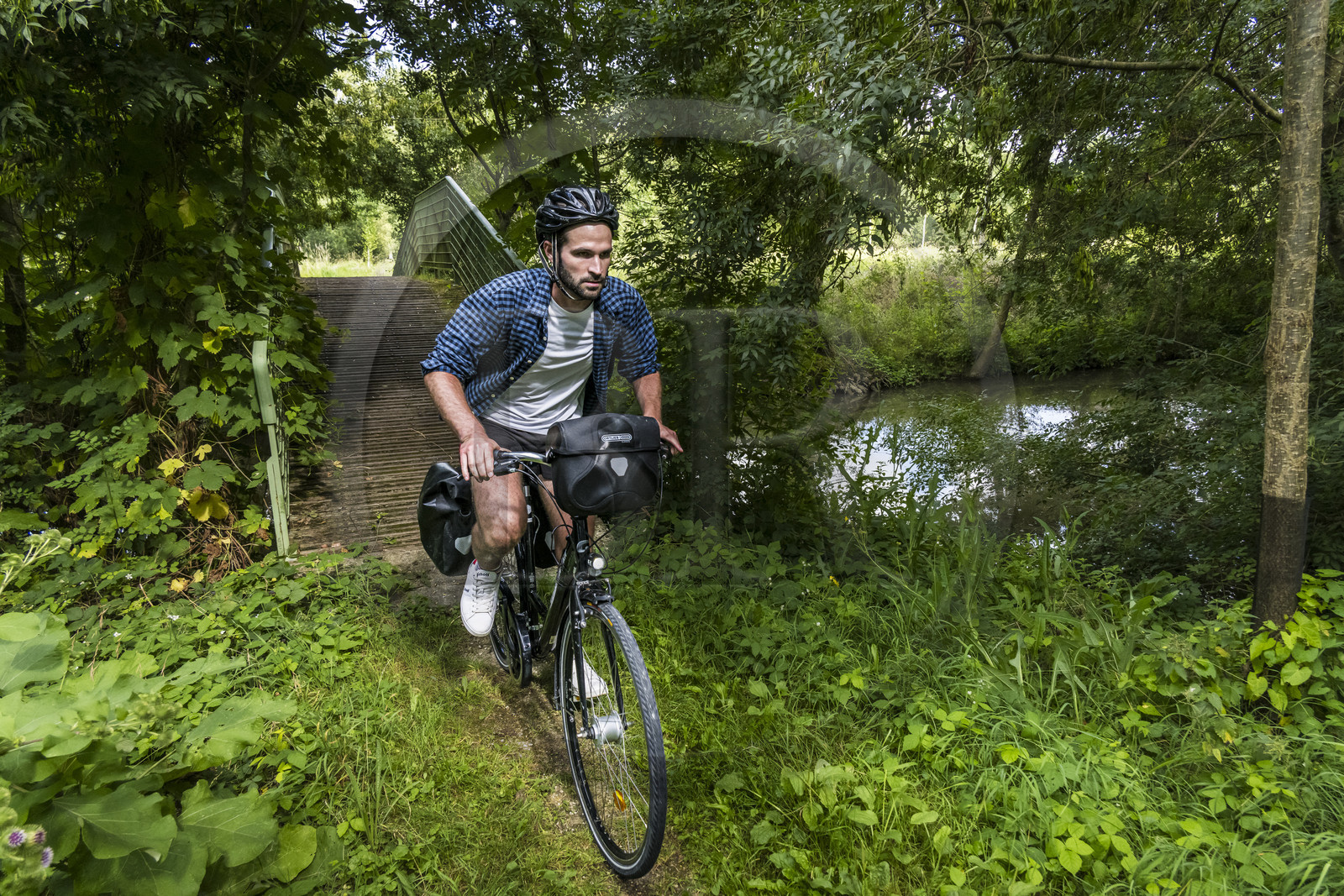 France, Deux-Sèvres (79), le Marais Poitevin, la Venise Verte, Le Vanneau-Irleau, randonnée à bicyclette le long des canaux et passage d'une passerelle