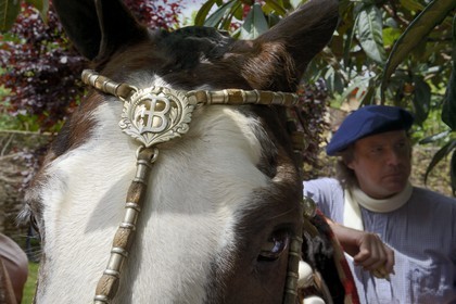 Argentine, province de Buenos Aires, San Antonio de Areco, fête du Jour de la Tradition (Dia de la Tradicion), bride de cheval portant le sigle l'estancia de la Bamba de Areco