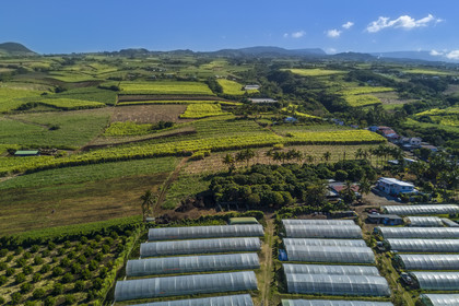 France, Ile de la Reunion, Petite-Ile, serres et champs de canne à sucre sur les pentes du volcan Piton de la fournaise (vue aérienne)