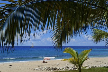 France, île de la Réunion, la Côte Ouest, commune de Saint Gilles les Bains, plage de Boucan Canot