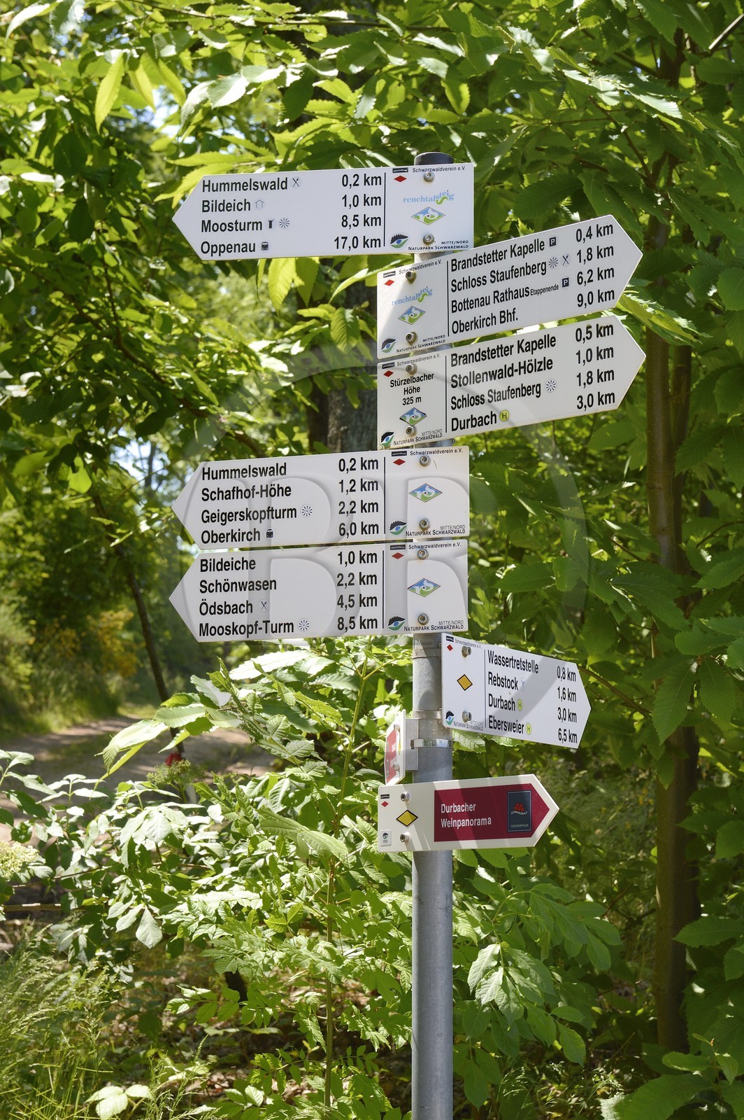 Allemagne, Bade-Wurtemberg, Durbach, panneaux indicateurs