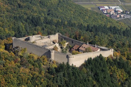 France, Haut-Rhin (68), le château de Hohlandsbourg dans le massif des Vosges sur les hauteurs d'Eguisheim (photo aérienne)