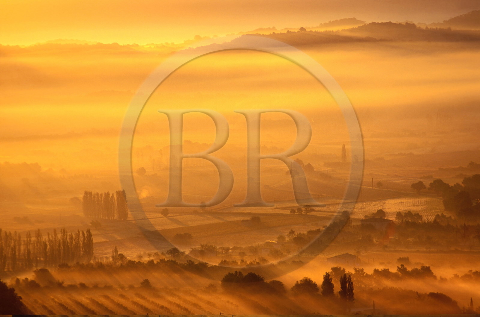 France, Vaucluse (84), Lubéron, paysage matinal près du village perché de Gordes