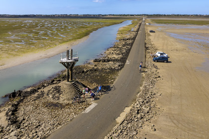 France, Vendée (85), île de Noirmoutier, Barbatre, cyclistes sur le passage du Gois, chaussée submersible qui relie l'île au continent à marrée basse, un des refuges sur la gauche (vue aérienne)