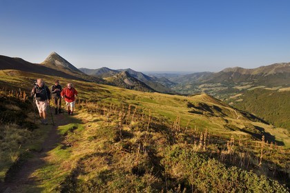 France, Cantal, Parc Naturel Régional des Volcans d'Auvergne (regional nature park of Auvergne volcanoes), Le Lioran, col de Rombiere (mountain pass) overlooking the Jordanne valley, hikers on the Way of St. James to Santiago de Compostela by Via Arverna, in the background the Puy Griou emerging on the left and the Griounou on its right