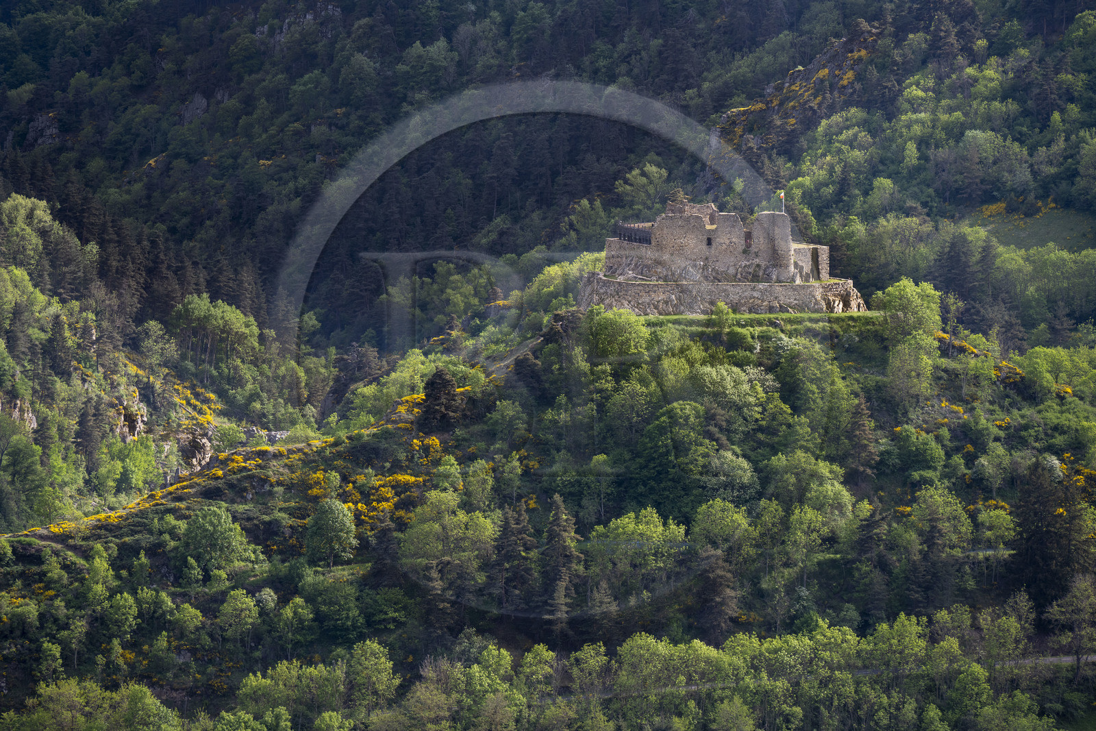 France, Haute-Loire (43), Goudet, le chateau de Beaufort construit vers 1200 domine la vallée de la Loire, randonnée avec un âne sur le chemin de Stevenson (GR 70)