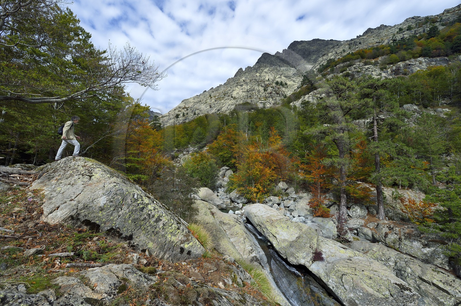 France, Haute Corse, Vivario, hiking on the GR 20, between Onda refuge and Vizzavona, Vizzavona forest, Englishmen cascades, waterfalls group in the Agnone valley under the Monte d'Oro
