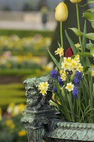 France, Yvelines (78), parc du château de Versailles, classé Patrimoine Mondial de l'UNESCO, parterre du Midi, détail d'un des vases en bronze entourant le château
