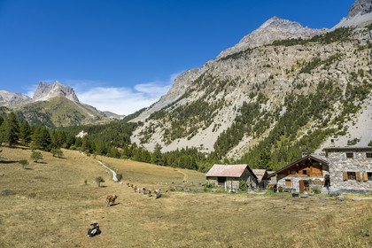 France, Hautes Alpes, Nevache, the Vallée Etroite (Narrow Valley) on the Italian border, hamlet of Les Granges, the Grand Séru in the background