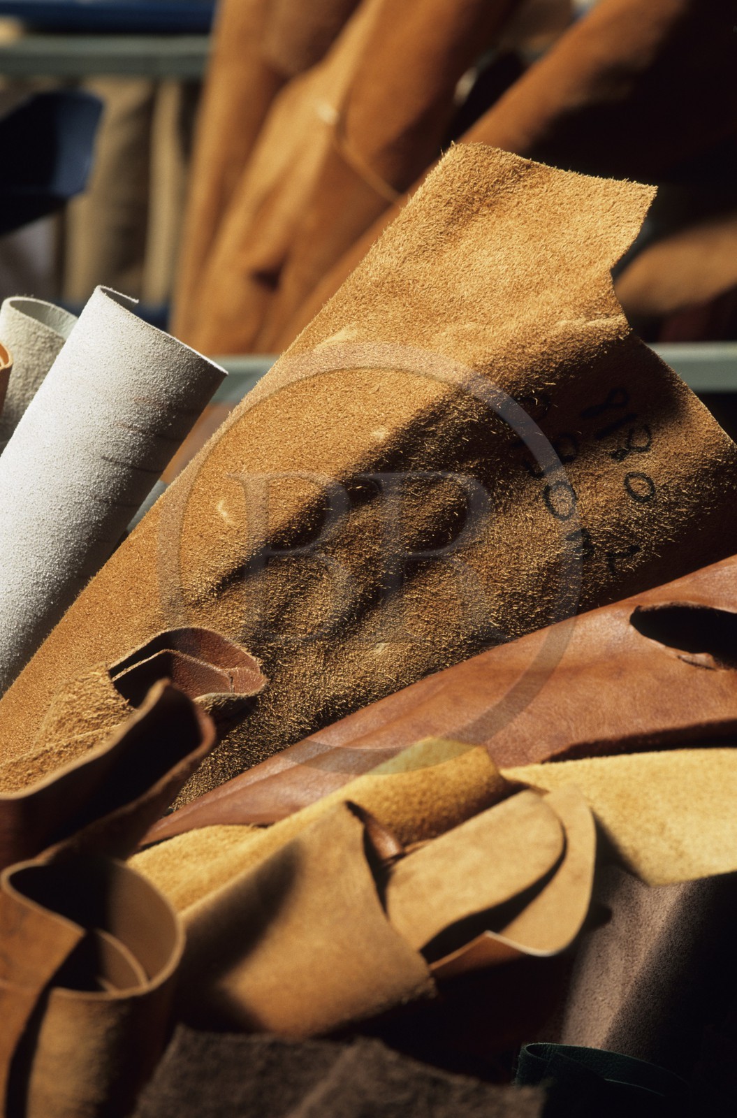 France, Paris, district of the Faubourg Saint Antoine, Tassin skin dressing, leather