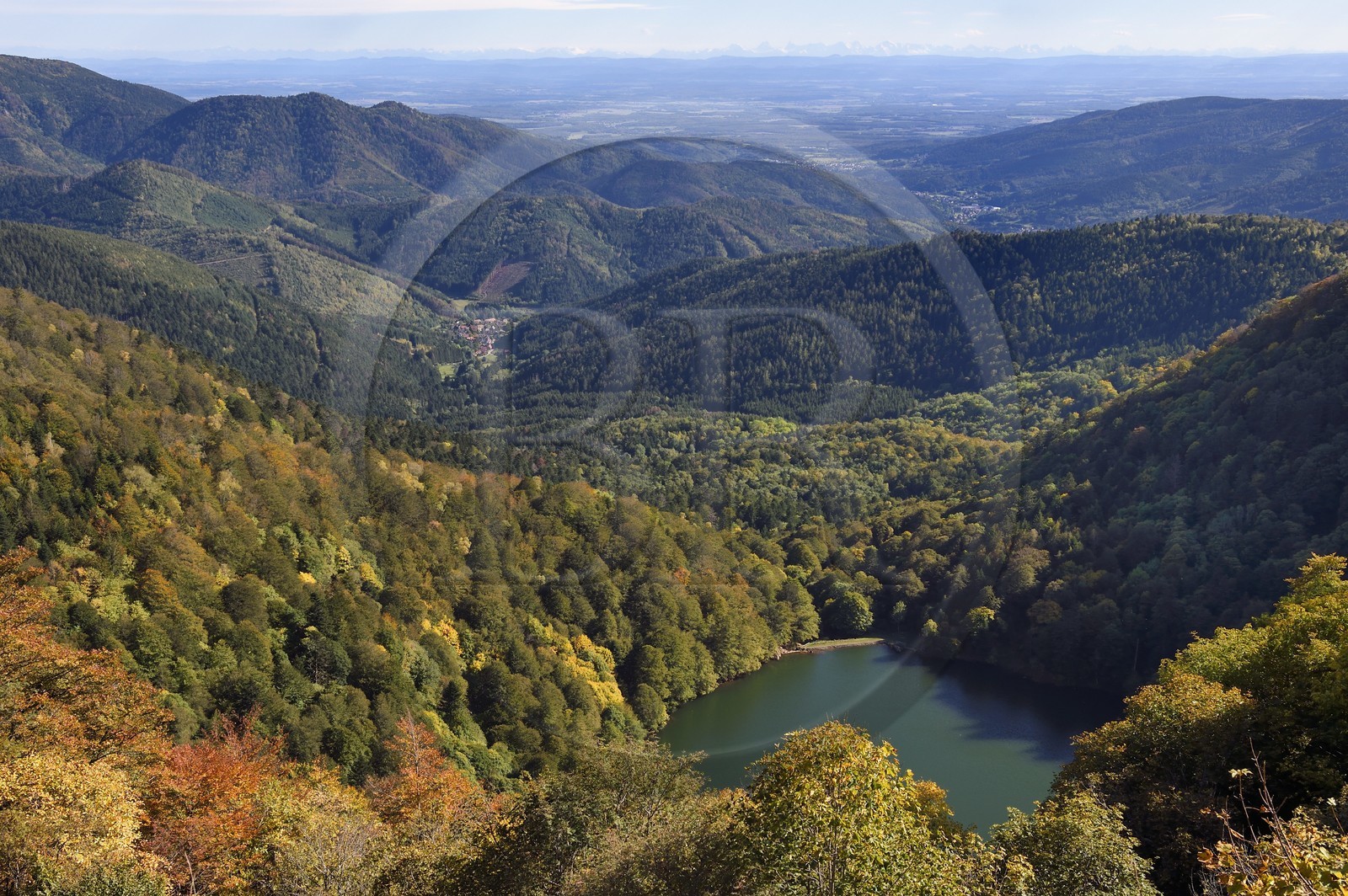 France, Vosges, Ballons des Vosges Regional Natural Park, Saint Maurice sur Moselle, the Lac des Perches below Gazon Rouge, the village of Rimbach pres Masevaux, the plain of Alsace and the Alps in the background
