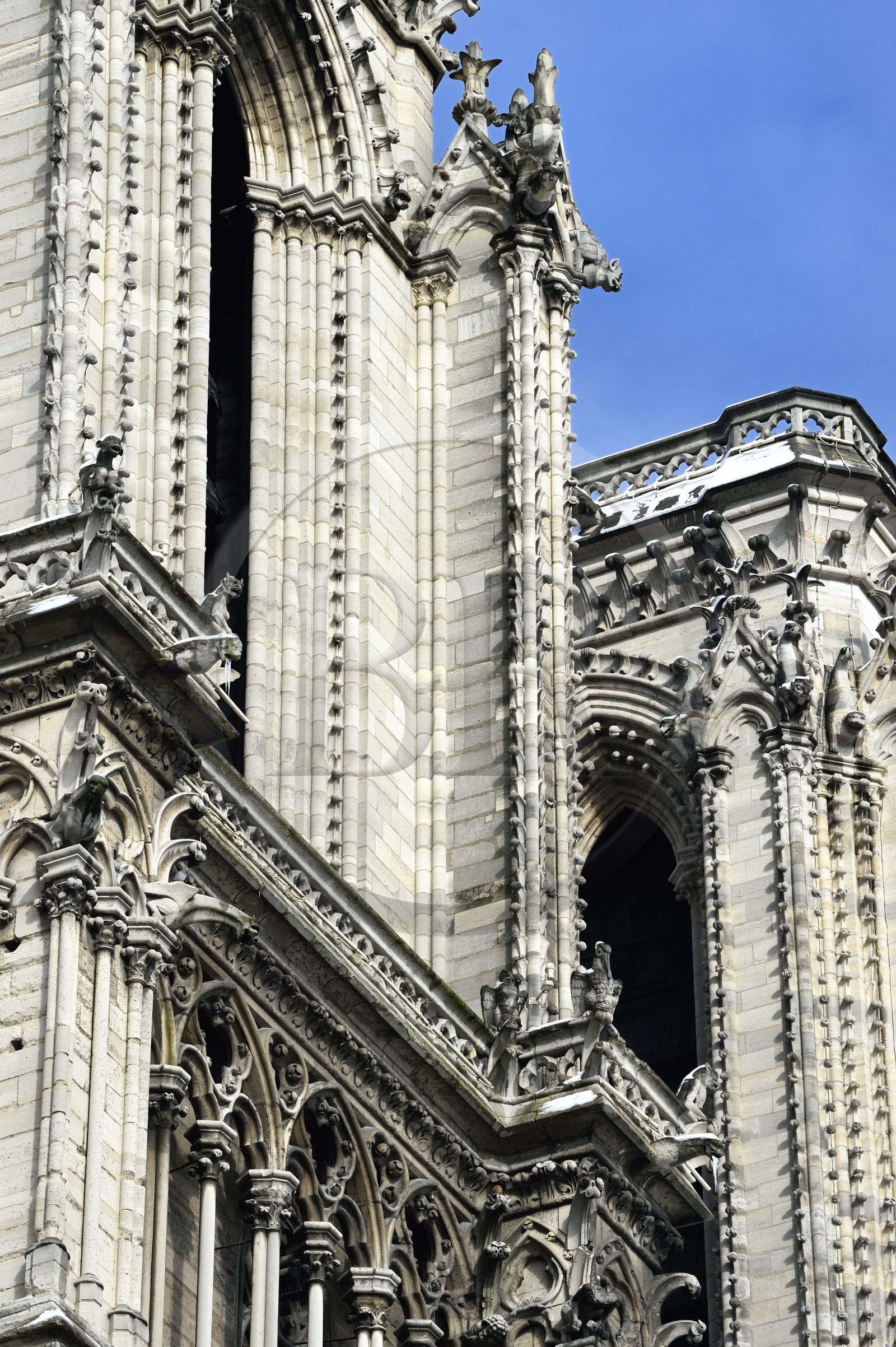 France, Paris (75), les rives de la Seine, classées Patrimoine Mondial de l'UNESCO, la Cathédrale Notre-Dame sous la neige sur l'Ile de la Cité, gargouilles
