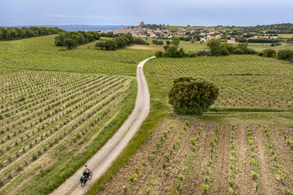 France, Vaucluse (84), Châteauneuf-du-Pape, randonnée à vélo sur le chemin Coste Froide sur le plateau de la Crau et le donjon de Châteauneuf-du-Pape en arrière plan (vue aérienne)