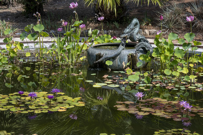 France, Alpes-Maritimes (06), Menton, quartier de Garavan, le jardin de Maria Serena, le bassin de la Fontaine au Dragon (ancienne fontaine japonaise qui a appartenue à un shogun)