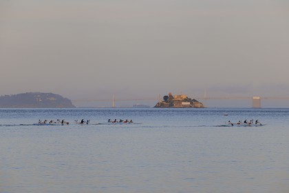 Etats-Unis, Californie, la baie de San Francisco, pirogues devant l'ile d'Alcatraz