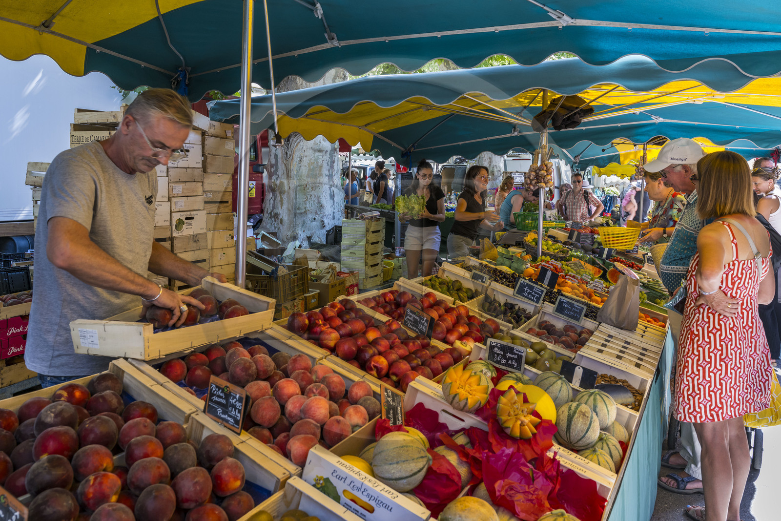 France, Bouches du Rhone, Regional Natural Park of the Alpilles, Saint Remy de Provence, fruit stall on the market place Jules Pellissier