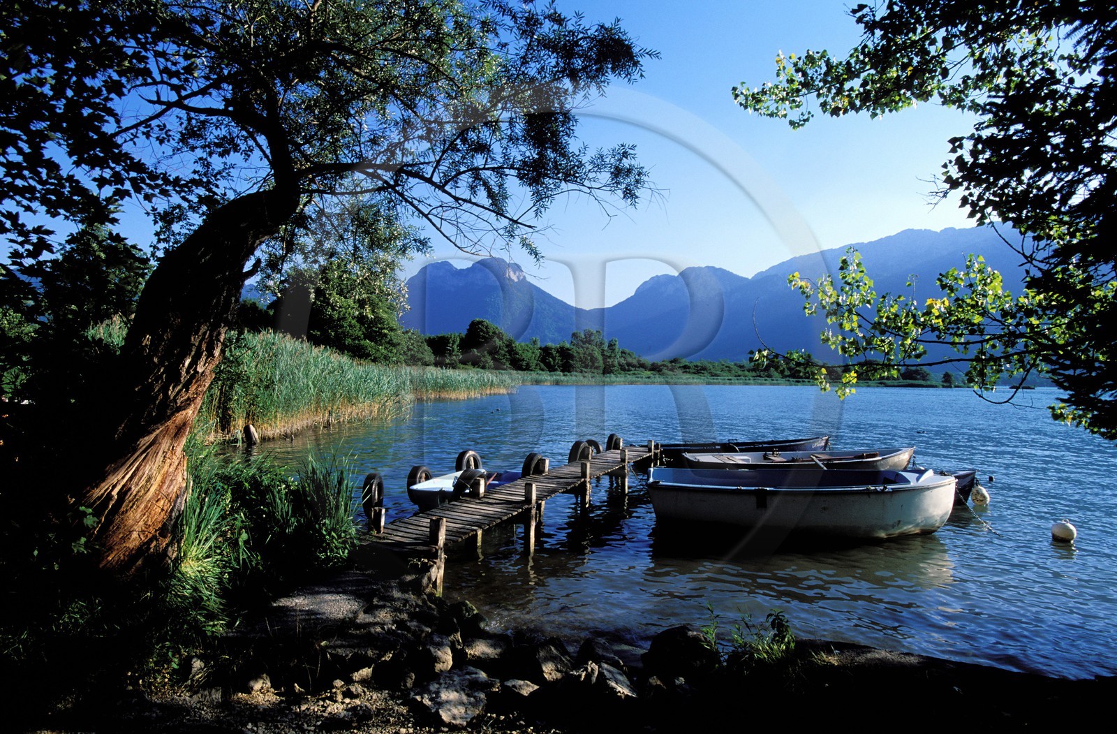 France, Haute-Savoie (74), barques au Bout-du-Lac, sur les rives du Lac d'Annecy