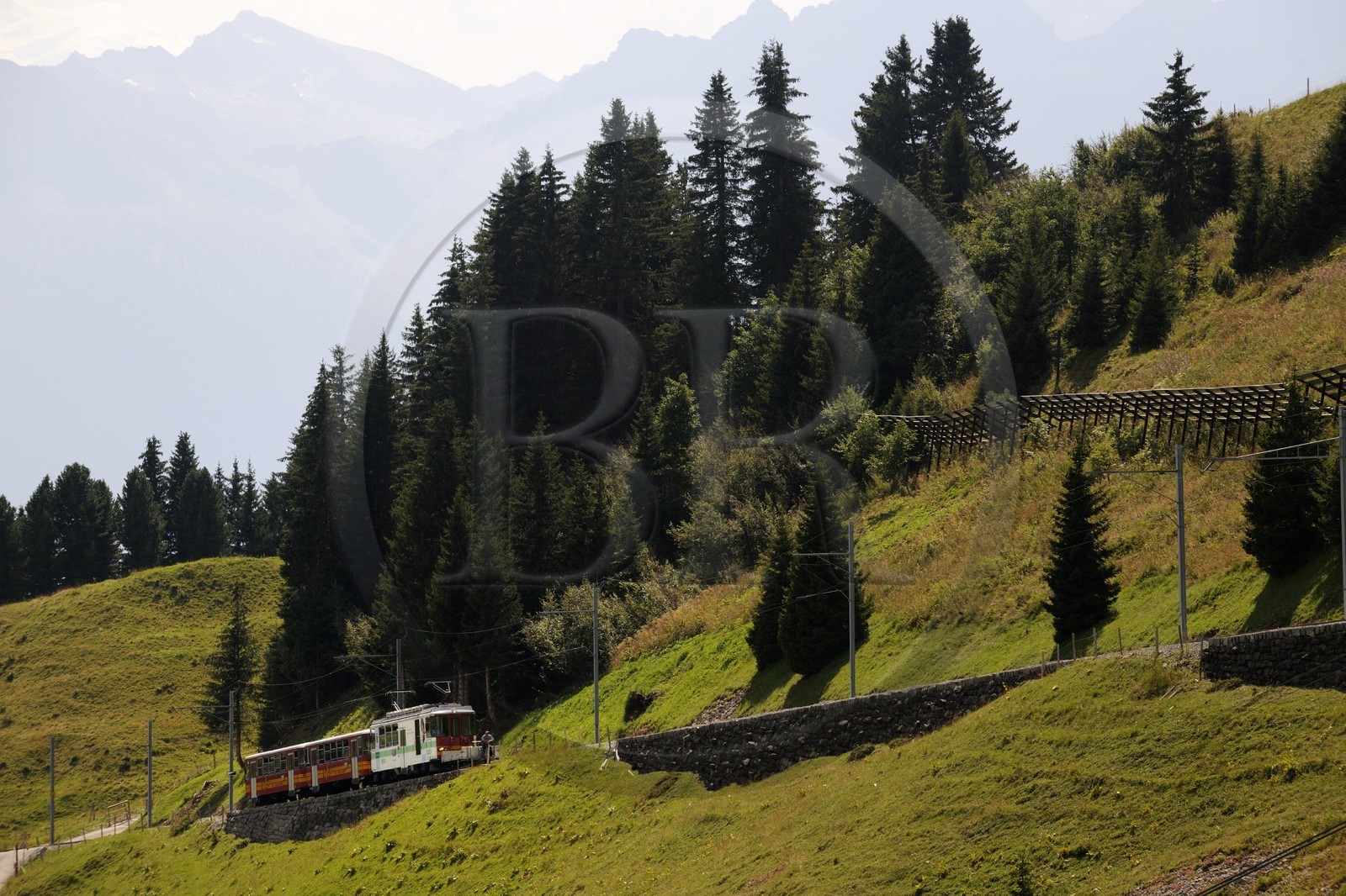 Suisse, canton de Vaud, Villars-sur-Ollon, train qui rejoint la gare de Bretaye