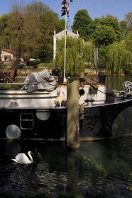 France, Val de Marne, the Marne riverside, Champigny-sur-Marne, house boat moored all the year long