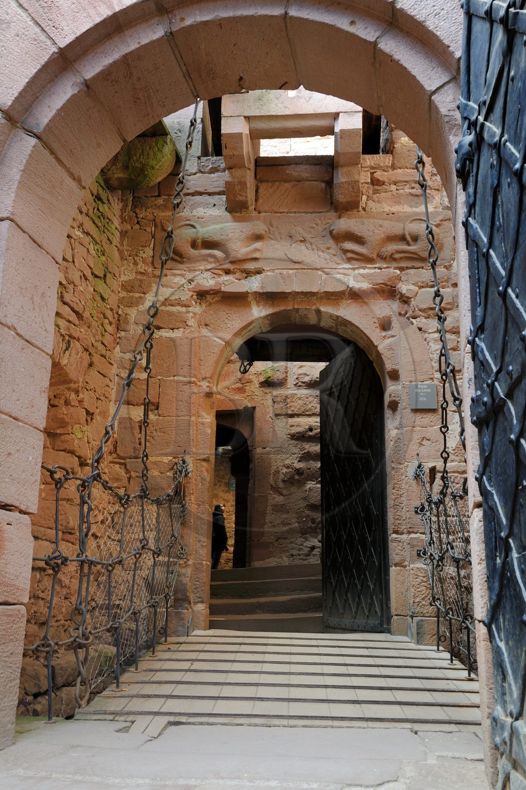 France, Bas-Rhin (67), le château du Haut-Koenigsbourg, linteau roman avec deux lions couchés encadrant des armoiries de la fin du Moyen Age