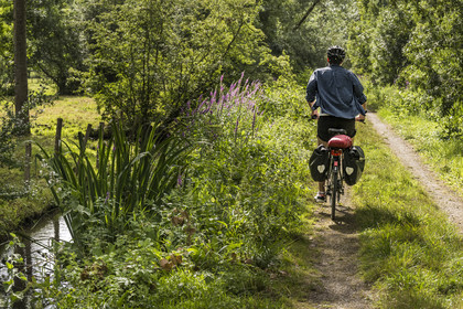 France, Deux-Sèvres (79), le Marais Poitevin, la Venise Verte, Le Vanneau-Irleau, randonnée à bicyclette le long des canaux