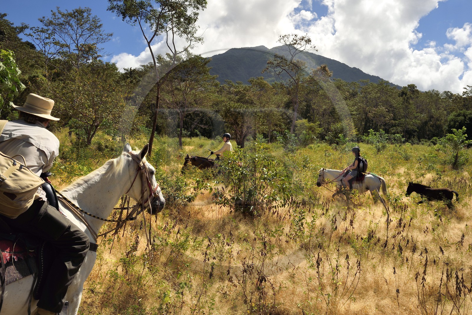 Nicaragua, Ile d'Ometepe sur le lac Nicaragua, cavaliers en randonnée sur les pentes du volcan Maderas