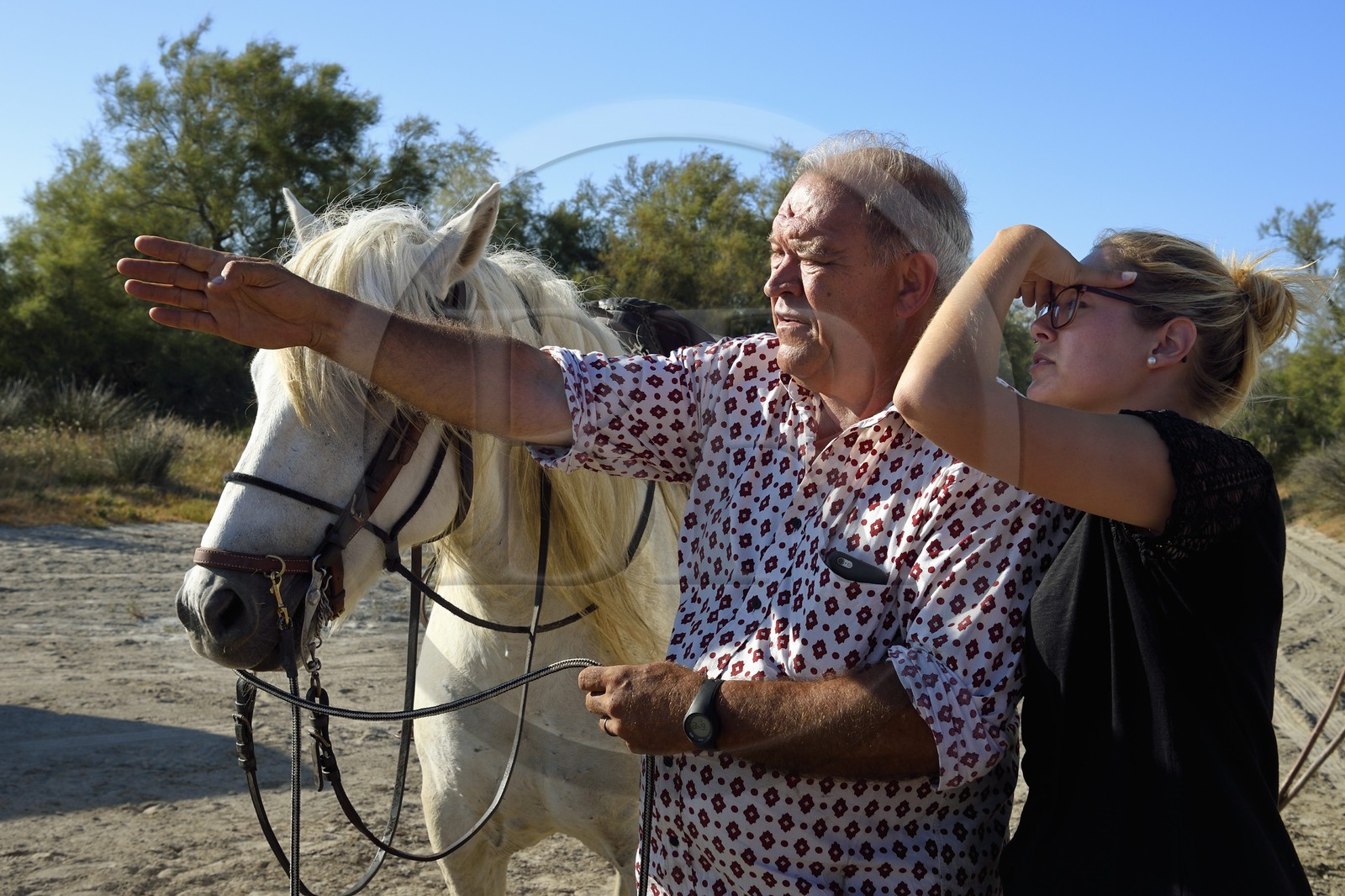 France, Bouches du Rhone, Parc naturel regional de Camargue (Regional Natural Park of Camargue), around Malagroy pond, manadier Jacques Mailhan, Jacques Mailhan, breeder of Camargue horses and bulls