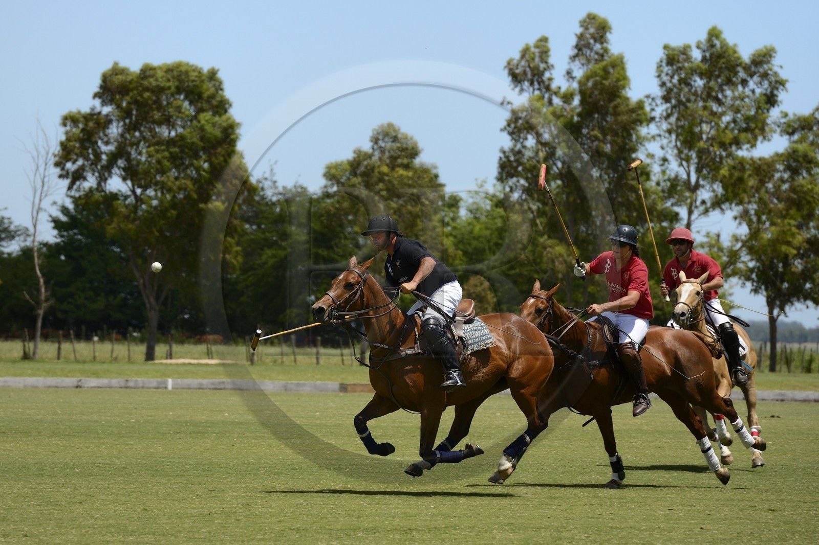 Argentine, province de Buenos Aires, San Antonio de Areco, estancia La Bamba de Areco, match de polo