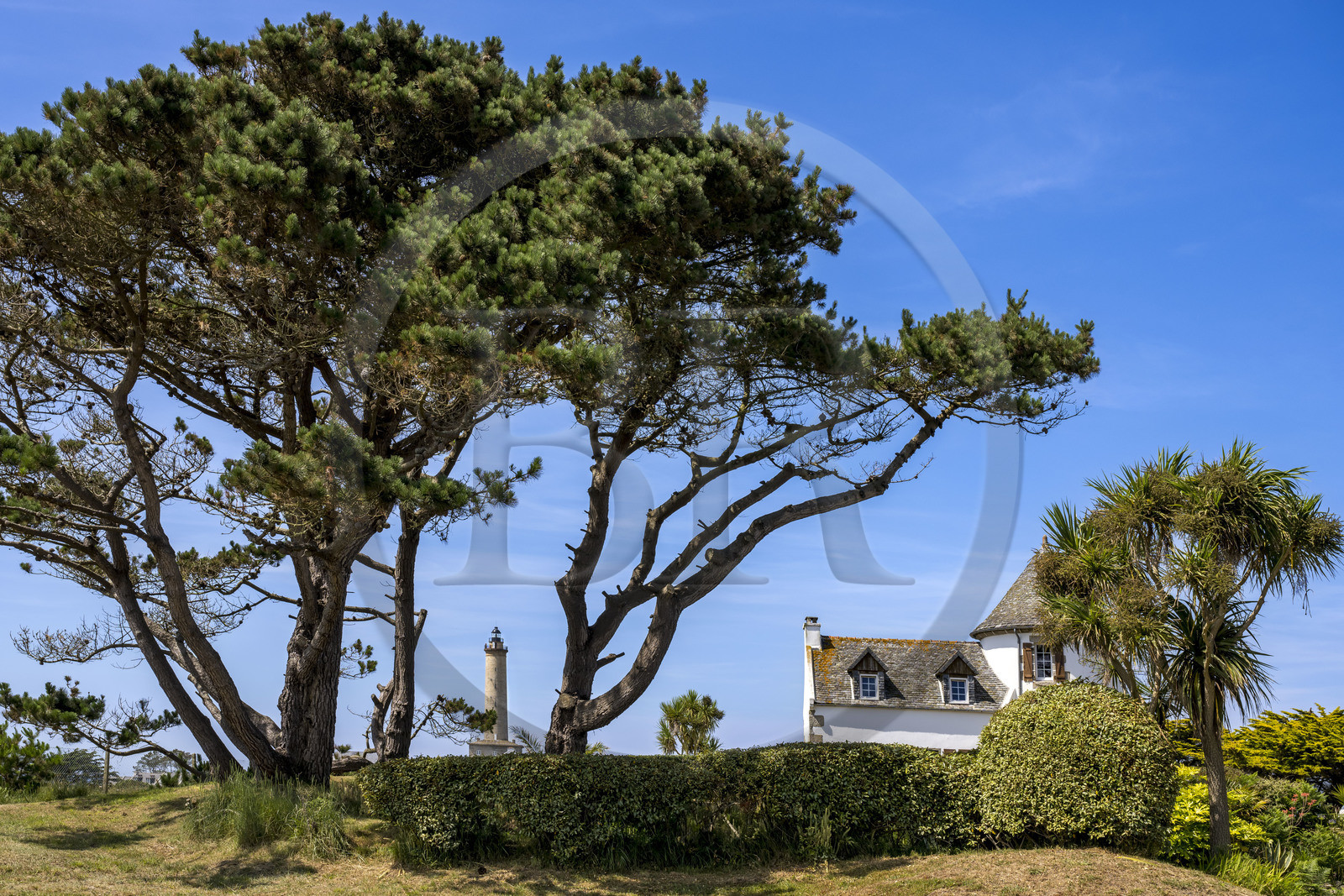 France, Finistère, Ponant Islands, Ile de Batz (Batz Island), the lighthouse commissioned in 1836