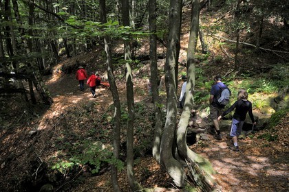 France, Vosges (88), chemin des passeurs au Donon sur la trace de la filière d'évasion du Rehtal