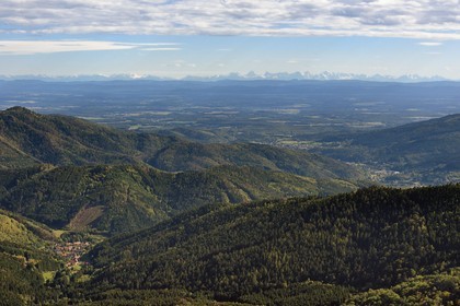 France, Vosges (88), Parc naturel régional des ballons des Vosges, Saint-Maurice-sur-Moselle, vue du sommet de la Tete des Perches au dessus de Gazon Rouge, le village de Rimbach-près-Masevaux dans le Haut-Rhin, la plaine d'Alsace et les Alpes en arrière plan