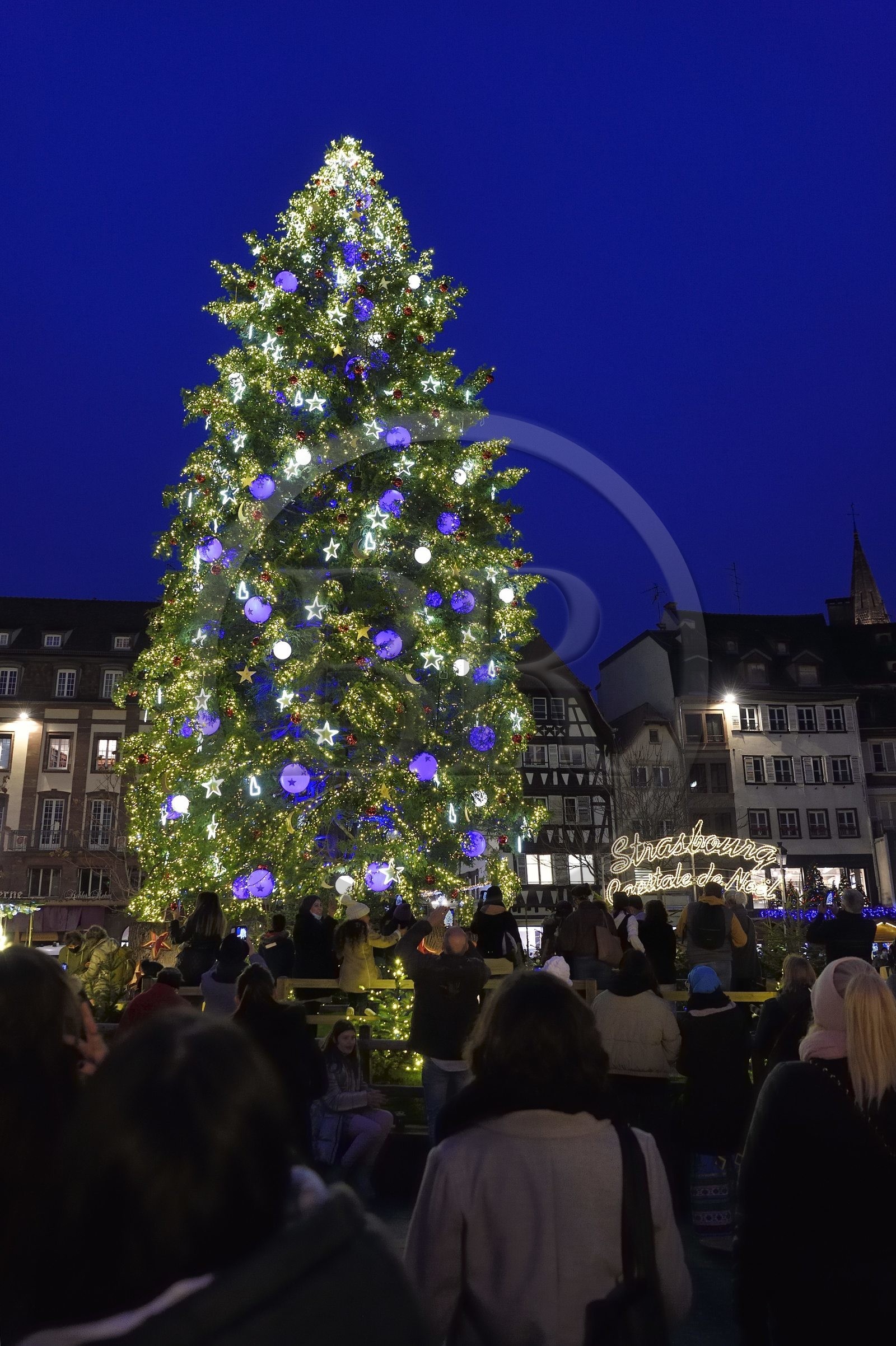 France, Bas-Rhin (67), Strasbourg, vieille ville classée au Patrimoine Mondial de l’UNESCO, le Grand Sapin de Noël de la place Kléber