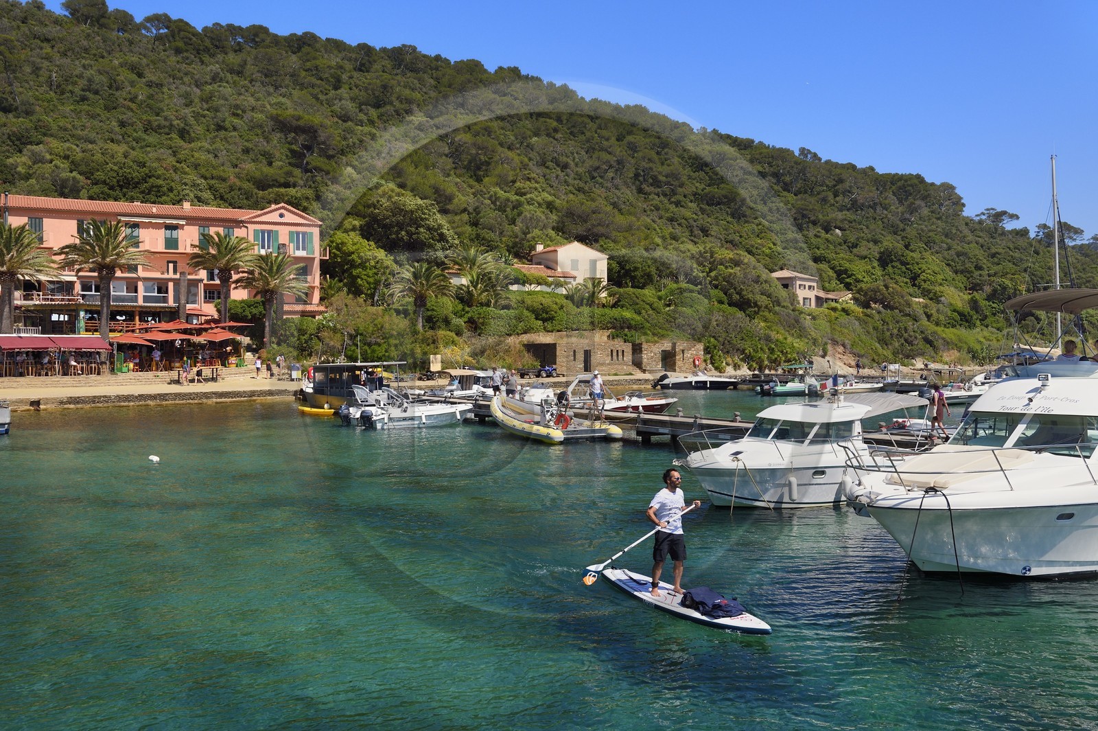France, Var (83), Iles d'Hyères, parc national de Port Cros, Ile de Port-Cros, paddle dans le port de Port Cros
