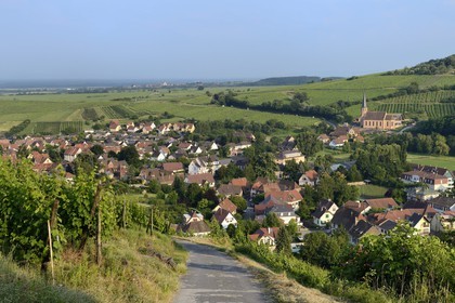 France, Bas-Rhin (67), Route des Vins d'Alsace, Andlau, la chapelle Saint-André et le vignoble