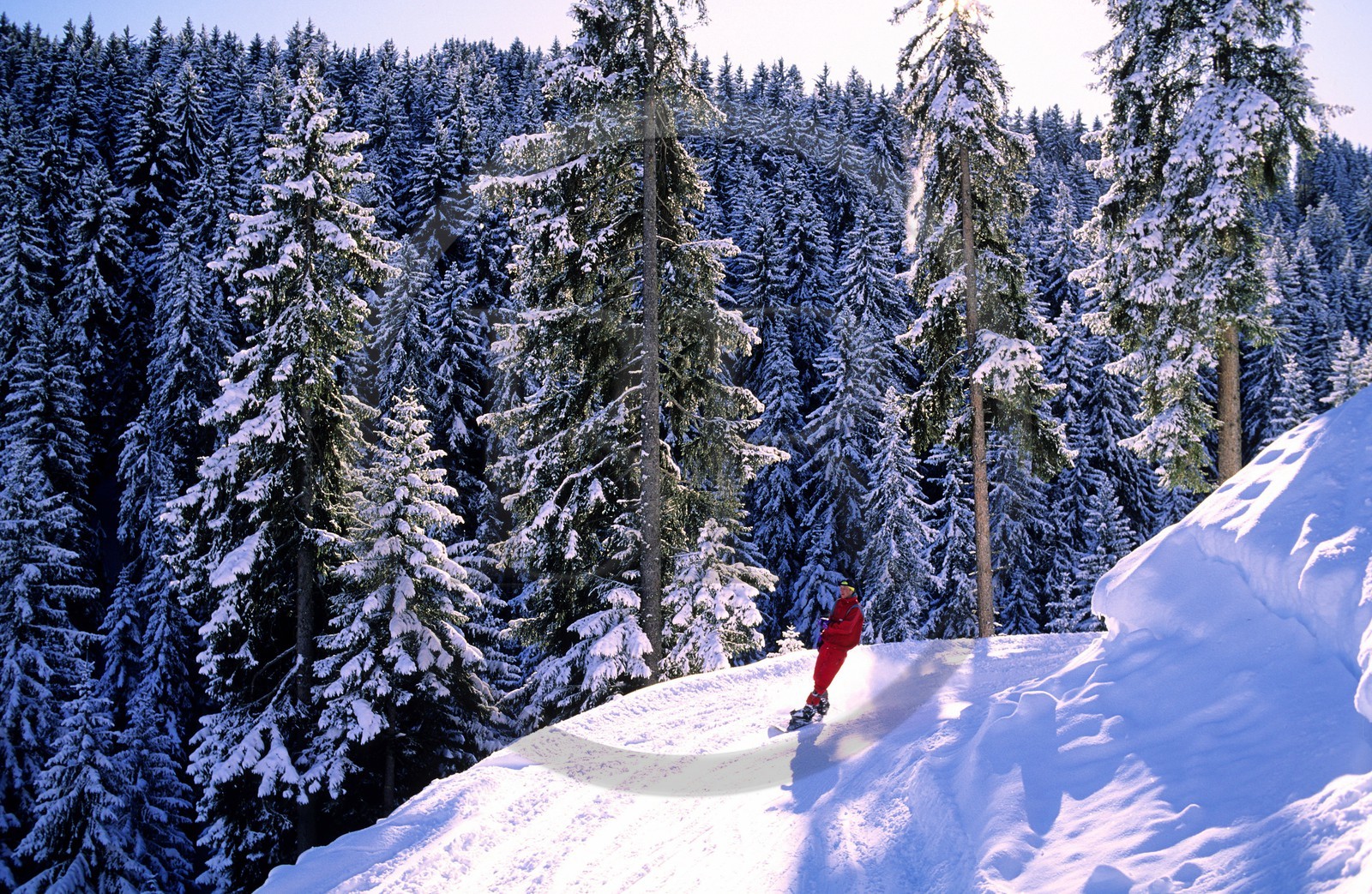 Suisse, région de Bern (Oberland Bernois), Saanenland, piste de ski sur les hauteurs de Gstaad
