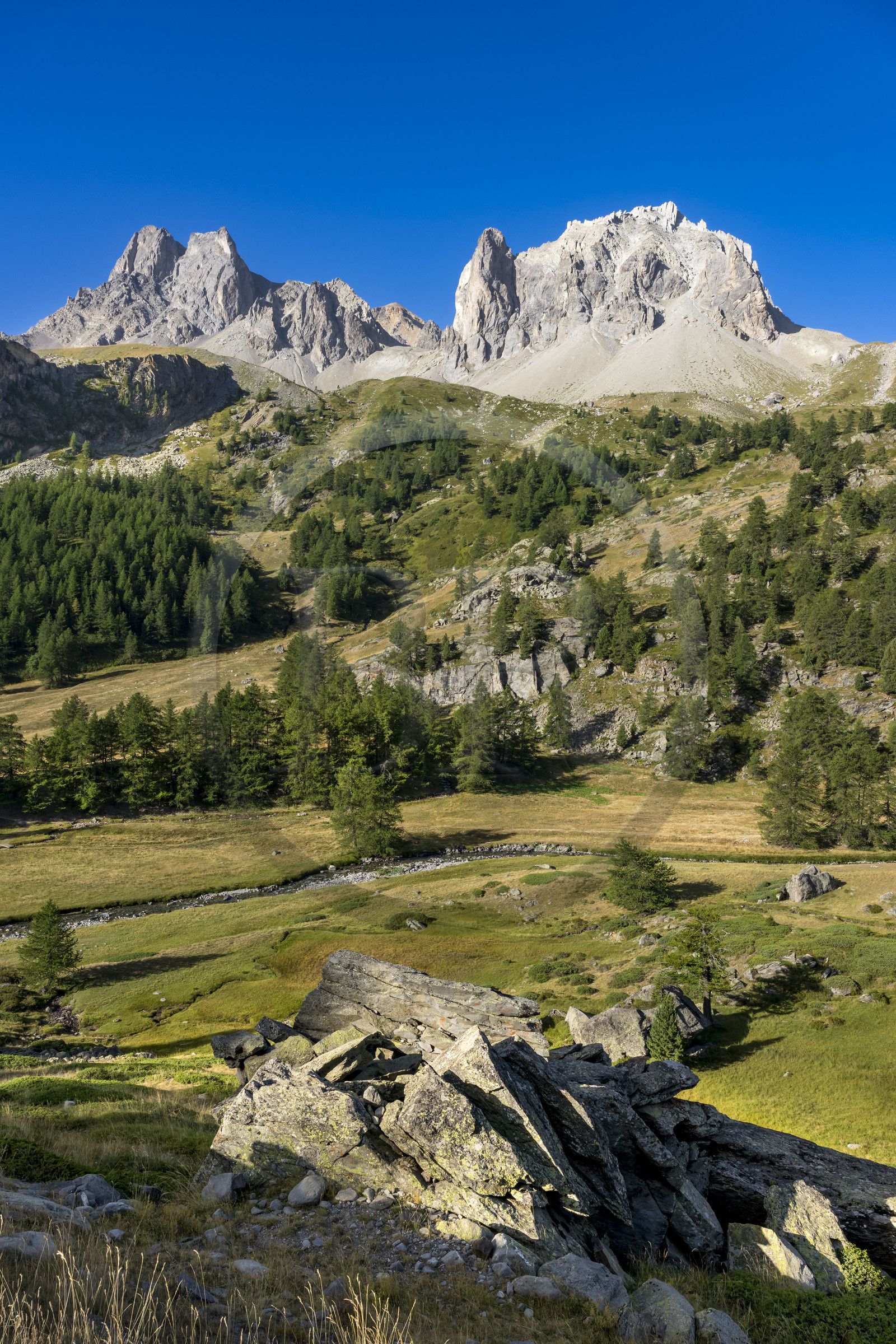 France, Hautes Alpes, Briancon region, Nevache, the Cerces massif in the background