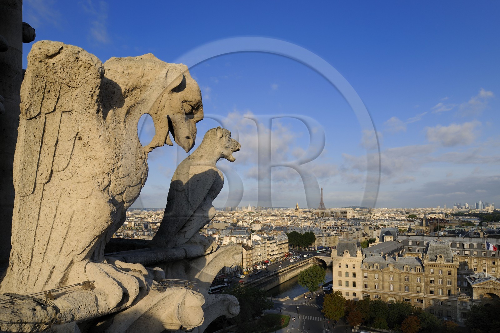 France, Paris (75), île de la Cité, la cathédrale Notre-Dame, les chimères observent la ville
