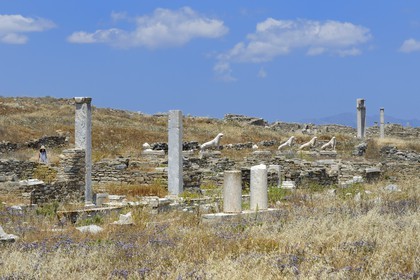 Grèce, île de Delos, classée Patrimoine Mondial de l'UNESCO, site archéologique de Délos, sanctuaire d'Apollon, la plus grande cité antique de la mer Egée, la Terrasse des Lions