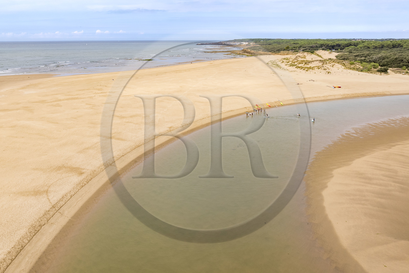 France, Vendée (85), Talmont Saint Hilaire, la Pointe du Payré, Veillon beach and estuary of the Payré river (aerial view)