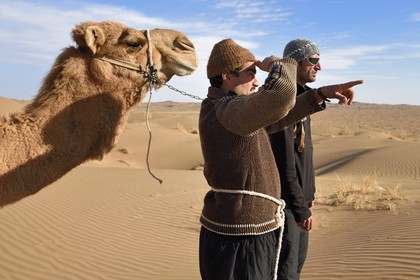 Iran, Province d'Ispahan, désert du Dasht-e Kavir, Mesr dans la région de Khur et Biabanak, chamelier et ses dromadaires dans le désert