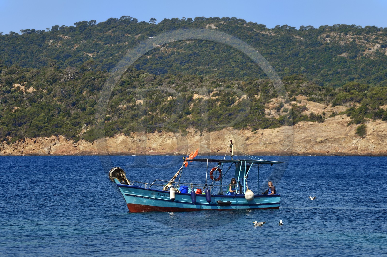France, Var (83), Iles d'Hyères, Parc national de Port Cros, Ile du Levant, domaine naturiste d'Héliopolis, retour au port du bateau de pêche de Christophe et Brigitte Chevallier, seuls pêcheurs professionnels d'Héliopolis
