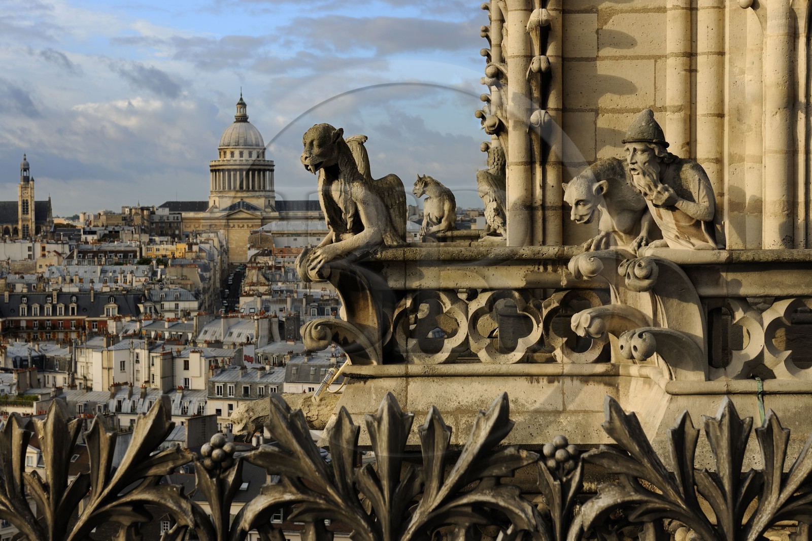France, Paris (75), île de la Cité, la cathédrale Notre-Dame, les chimères observent la ville dont le morse et l'alchimiste